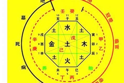 八字忌什麼|免費生辰八字五行屬性查詢、算命、分析命盤喜用神、喜忌